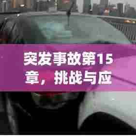 突发事故第15章，挑战与应对策略揭秘