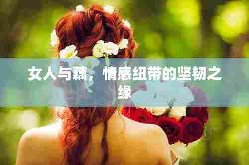 女人与藕,情感纽带的坚韧之缘