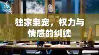 独家枭宠，权力与情感的纠缠