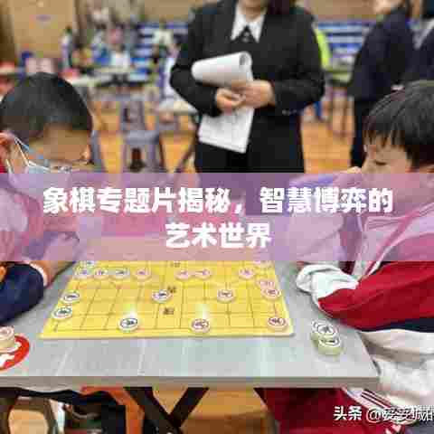 象棋专题片揭秘，智慧博弈的艺术世界