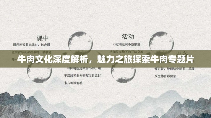 牛肉文化深度解析,魅力之旅探索牛肉专题片