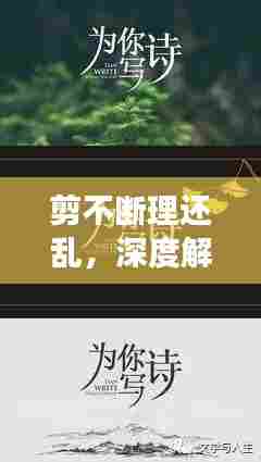 剪不断理还乱,深度解读意境之美