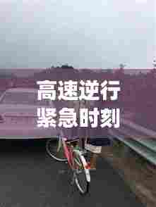 高速逆行紧急时刻,女子突发疾病与社会温暖救援的瞬间