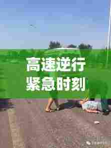 高速逆行紧急时刻,女子突发疾病与社会温暖救援的瞬间