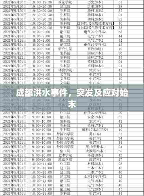 成都洪水事件,突发及应对始末