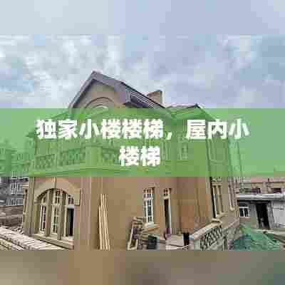 独家小楼楼梯，屋内小楼梯 