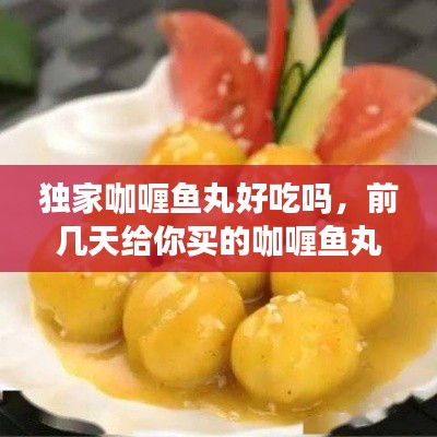 独家咖喱鱼丸好吃吗，前几天给你买的咖喱鱼丸好吃吗 