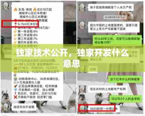 独家技术公开，独家开发什么意思 