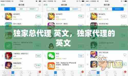 独家总代理 英文，独家代理的英文 