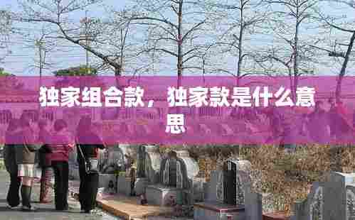 独家组合款，独家款是什么意思 