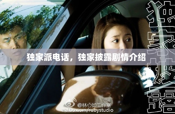 独家派电话,独家披露剧情介绍