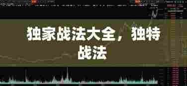 独家战法大全,独特战法