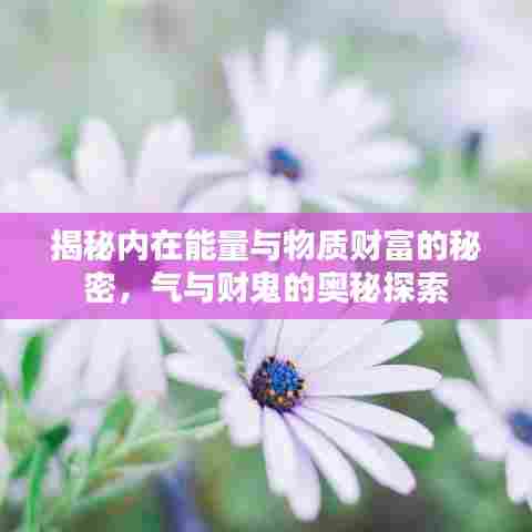 揭秘内在能量与物质财富的秘密,气与财鬼的奥秘探索