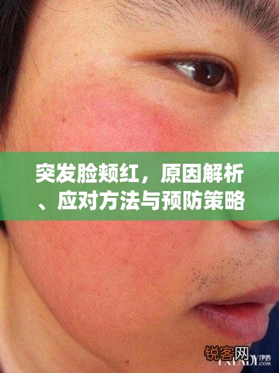 突发脸颊红,原因解析、应对方法与预防策略