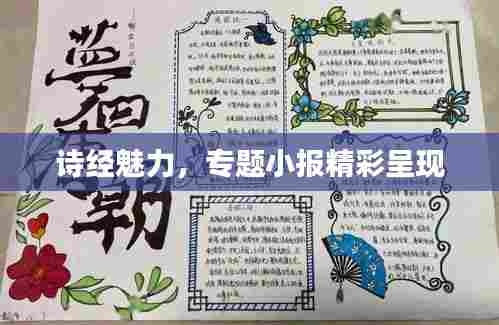 诗经魅力,专题小报精彩呈现