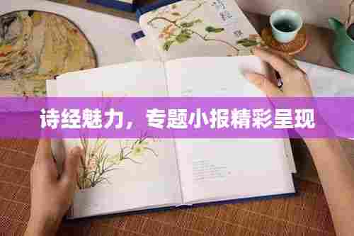 诗经魅力,专题小报精彩呈现