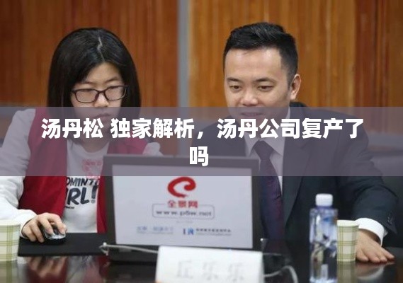 汤丹松 独家解析,汤丹公司复产了吗