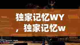 独家记忆WY,独家记忆wav