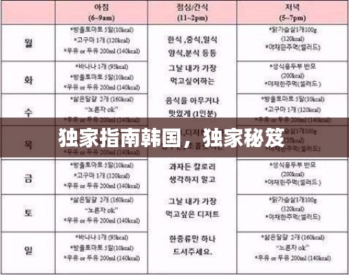 独家指南韩国，独家秘笈 