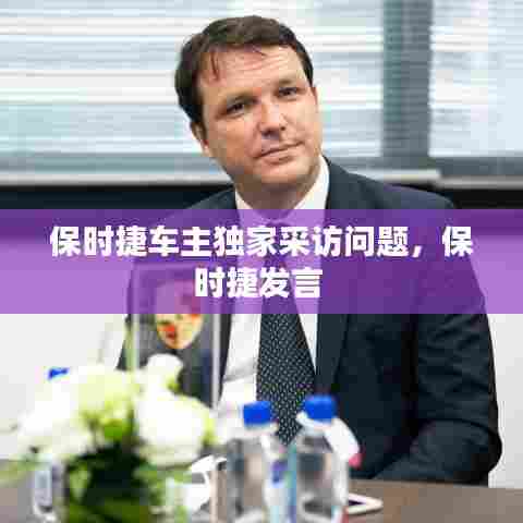 保时捷车主独家采访问题,保时捷发言