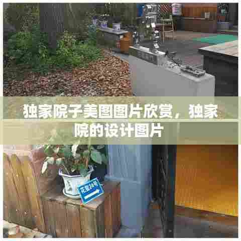 独家院子美图图片欣赏,独家院的设计图片