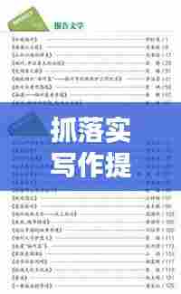 抓落实写作提纲,迈向成功的关键路径攻略