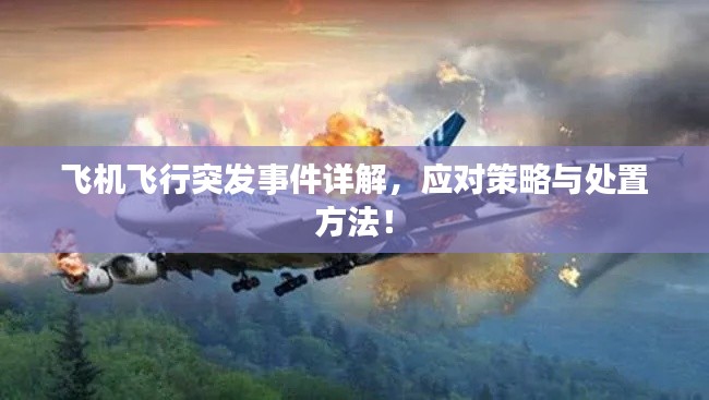飞机飞行突发事件详解，应对策略与处置方法！