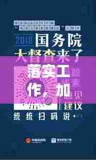 落实工作,加速行动,成效显著,执行力提升的关键