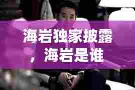 海岩独家披露,海岩是谁