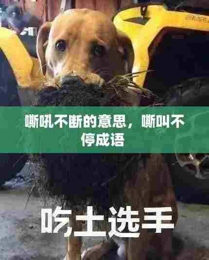 嘶吼不断的意思,嘶叫不停成语