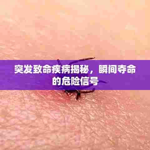 突发致命疾病揭秘，瞬间夺命的危险信号