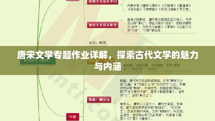 唐宋文学专题作业详解，探索古代文学的魅力与内涵