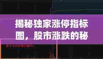 揭秘独家涨停指标图，股市涨跌的秘密武器全解析