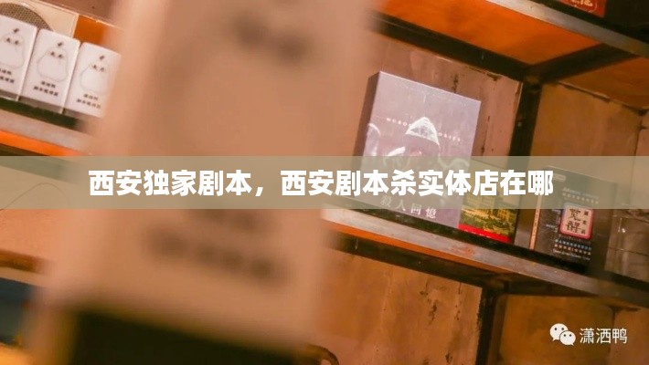 西安独家剧本，西安剧本杀实体店在哪 