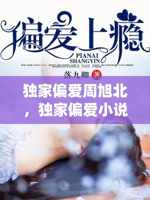 独家偏爱周旭北，独家偏爱小说 