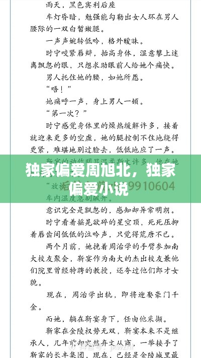独家偏爱周旭北,独家偏爱小说