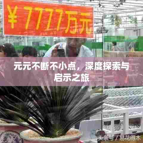 元元不断不小点,深度探索与启示之旅