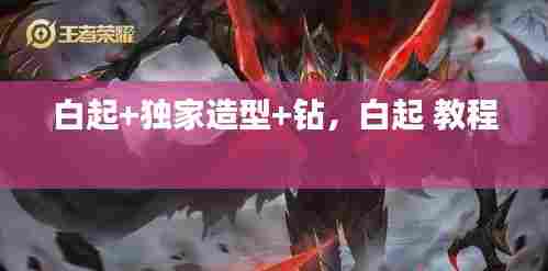 白起+独家造型+钻,白起 教程