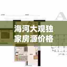 海河大观独家房源价格,海河大观房型