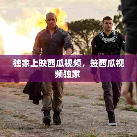 独家上映西瓜视频，签西瓜视频独家 