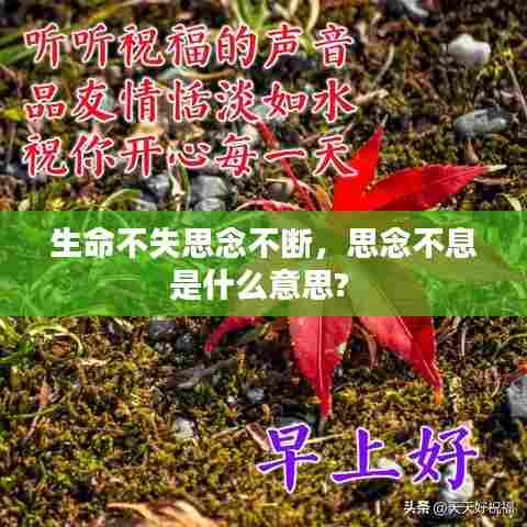 生命不失思念不断，思念不息是什么意思? 
