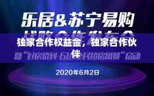 独家合作权益金,独家合作伙伴