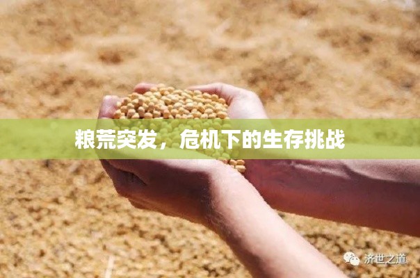 粮荒突发,危机下的生存挑战