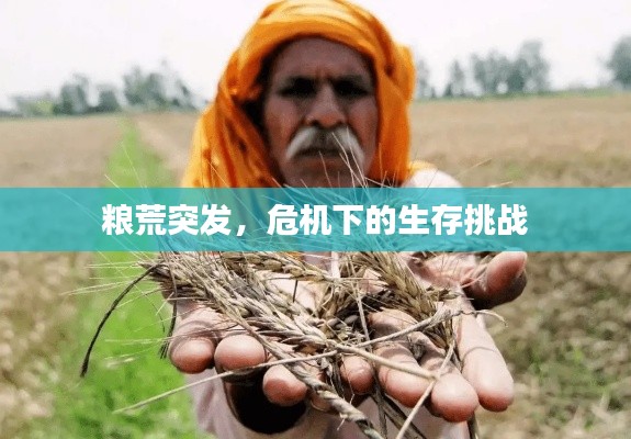 粮荒突发,危机下的生存挑战