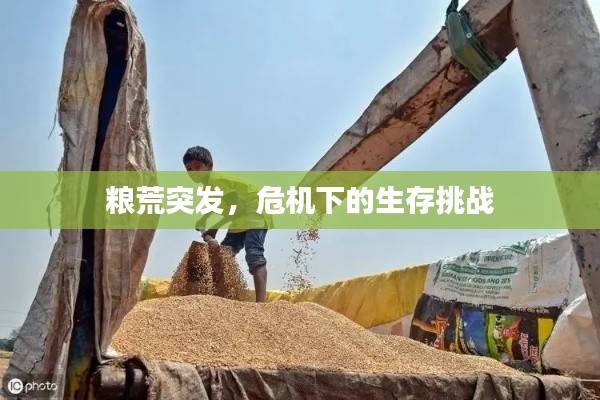 粮荒突发,危机下的生存挑战
