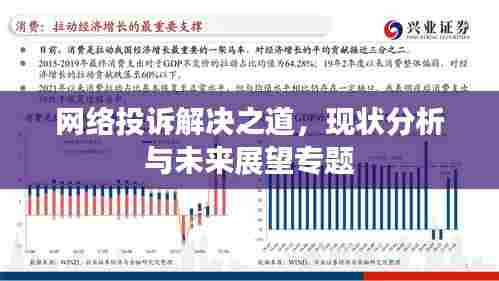 网络投诉解决之道,现状分析与未来展望专题