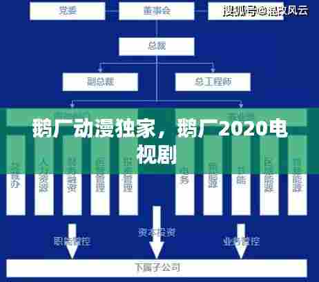 鹅厂动漫独家，鹅厂2020电视剧 