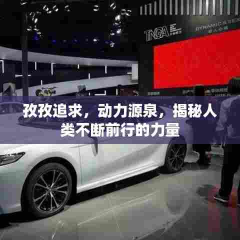 孜孜追求，动力源泉，揭秘人类不断前行的力量