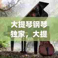 大提琴钢琴独家,大提琴钢琴超震撼合奏