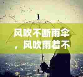 风吹不断雨伞，风吹雨着不肯退 